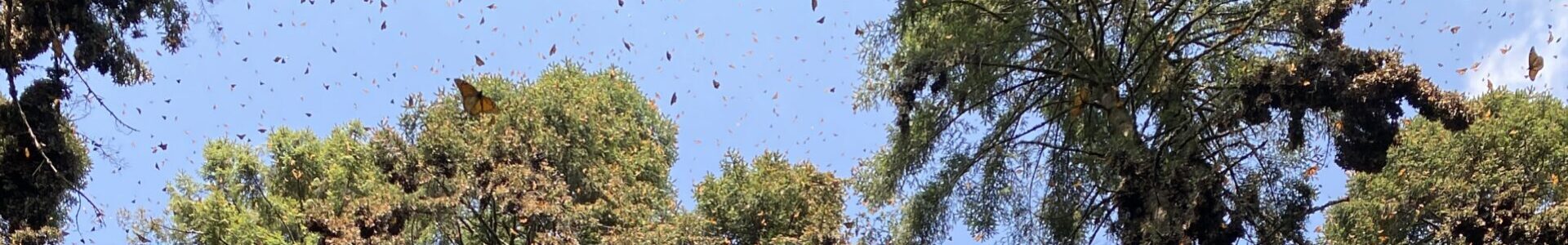 Congrats, Elizabeth!